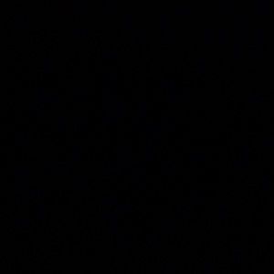 Meet your Posher, Dalton